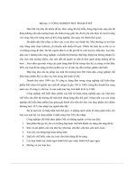 bài tập giữa kỳ quan hệ kinh tế việt nam nga