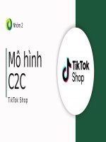 slide thuyết trình mô hình c2c tiktok shop giới thiệu về tiktok shop