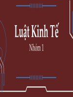 slide thuyết trình doanh nghiệp tư nhân