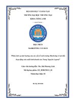 Phân tích sự ảnh hưởng của các yếu tố môi trường Marketing vĩ mô đến hoạt động sản xuất kinh doanh của Trung Nguyên Legend