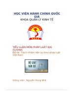 tiểu luận môn pháp luật đại cương đề tài trách nhiệm dân sự theo pháp luật việt nam