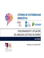 FUNCIONAMIENTO Y SITUACIÓN DEL MERCADO ELÉCTRICO EN ESPAÑA
