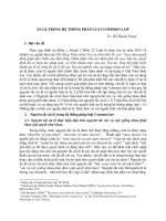 ÁN LỆ TRONG HỆ THỐNG PHÁP LUẬT COMMON LAW