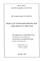 Đề tài nghiên cứu khoa học cấp Trường: Pháp luật về bảo đảm thương mại công bằng của Việt Nam