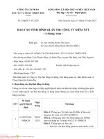 BÁO CÁO TÌNH HÌNH QUẢN TRỊ CÔNG TY NIÊM YẾT ( 6 THÁNG NĂM )