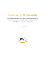 BLOCKCHAIN FOR SUSTAINABILITY