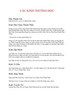 THÁNH LỄ VÀ KINH NGAY ĐẦU NĂM ĐIỂM CAO