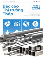 BÁO CÁO THỊ TRƯỜNG THÉP THÁNG 2 2024
