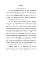 Tiểu luận  chương trình xúc tiến Đầu tư quốc gia