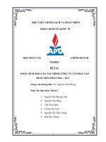 đề tài phân tích báo cáo tài chính công ty cổ phần tập đoàn hòa phát 2016 2017