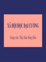 slide thuyết trình ảnh hưởng của hành vi tự sát đối với các nhóm tuổi trong xã hội