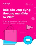 BÁO CÁO ỨNG DỤNG THƯƠNG MẠI ĐIỆN TỬ 2021