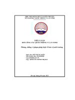 tiểu luận hp2 công tác quốc phòng và an ninh phòng chống vi phạm pháp luật về bảo vệ môi trường