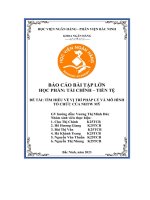 báo cáo bài tập lớn tài chính tiền tệ đề tài tìm hiểu về vị trí pháp lý và mô hình tổ chức của nhtw mỹ