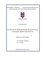 các yếu tố tác động đến rủi ro tín dụng tại các ngân hàng thương mại việt nam