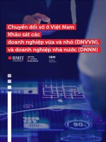 CHUYỂN ĐỔI SỐ Ở VIỆT NAM: KHẢO SÁT C Á C DOANH NGHIỆP VỪA VÀ NHỎ (DNVVN), VÀ DOANH NGHIỆP NHÀ NƯỚC (DNNN)TRANG 1