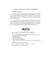 tổng quan về công ty cổ phần misa