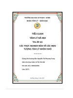 tiểu luận tâm lý xã hội đề tài các thực nghiệm bàn về các hiện tượng tâm lý nhóm nhỏ