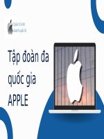 slide thuyết trình tập đoàn đa quốc gia apple