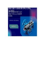 đề tài bơm thủylực trụcvít 1 2 3 screw pump