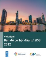 VIỆT NAM BẢN ĐỒ CƠ HỘI ĐẦU TƯ SDG 2022