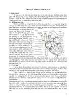SINH LÝ TIM MẠCH - CHƯƠNG 5