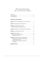 STRATEGIES OF INDEPENDENT STRATEGIC READERS SUPPORTED BY THIS READING TOOL