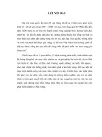 Xác Định Đúng các Đột phá chiến lược   bài học từ tiến trình Đổi mới