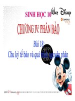 CHU KỲ TẾ BÀO: QUÁ TRÌNH DIỄN RA VÀ CƠ CHẾ ĐIỀU KHIỂN