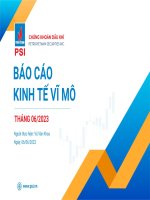 BÁO CÁO KINH TẾ VĨ MÔ THÁNG 062023