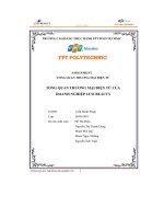 tổng quan thương mại điện tử của doanh nghiệp lusi beauty