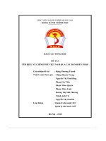 báo cáo tổng hợp tìm hiểu về chính phủ việt nam qua các bản hiến pháp