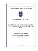 các yếu tố ảnh hưởng đến vốn trí tuệ tại ngân hàng thương mại việt nam