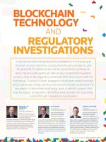 BLOCKCHAIN TECHNOLOGY AND REGULATORY INVESTIGATIONS