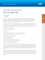 SECURITY PROCEDURES FOR TREASURY AND TRADE SOLUTIONS
