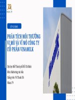 slide thuyết trình phân tích môi trường vi mô và vĩ mô công ty cổ phần vinamilk
