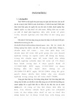 đề tài hoàn thiện kế toán thuế tndn tại việt nam