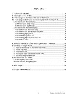 tiểu luận cơ cấu tổ chức công ty đa quốc gia nestle