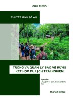 Đề Án trồng rừng , bảo vệ rừng kết hợp du lịch trãi nghiệm