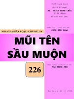 MŨI TÊN SẦU MUỘN NIKAYA ĐIỂM CAO