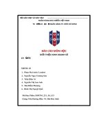 báo cáo mồn học giới thiệu kinh doanh sồ