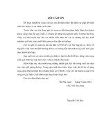 Luận văn thạc sĩ chuyên ngành Kỹ thuật tài nguyên nước: Đánh giá mức độ ô nhiễm hệ thống thủy lợi Bắc Nam Hà và đề xuất giải pháp làm giảm ô nhiễm trong điều kiện phát triển kinh tế xã hội hiện nay