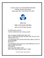 báo cáo thực tập tại  Công ty TNHH Trung tâm phát triển phần mềm Việt Nam (NAB - Ngân hàng quốc gia Úc)