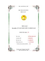 tiểu luận lý luận nhà nước và pháp luật tìm hiểu về bản chất của pháp luật liên hệ với pháp luật việt nam xã hội chủ nghĩa