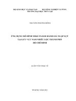 Luận văn thạc sĩ kỹ thuật: Ứng dụng mô hình Mike Flood đánh giá ngập lụt tại lưu vực Nam Nhiêu Lộc Thành phố Hồ Chí Minh