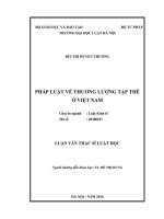 Luận văn thạc sĩ luật học: Pháp luật về thương lượng tập thể ở Việt Nam