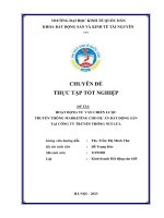 Chuyên đề thực tập tốt nghiệp: Hoàn thiện hoạt động tư vấn chiến lược truyền thông marketing cho dự án bất động sản tại công ty TNHH Truyền thông Núi Lửa