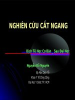 Nghiên cứu cắt ngang