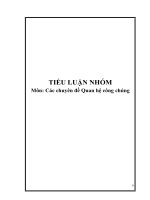 tiểu luận đề xuất kế hoạch pr cho flamingo đại lải resort