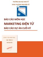 báo cáo môn học marketing điện tử báo cáo dự án cuối kỳ dự án mang tên munchies là cửa hàng đồ ăn healthy đà nẵng